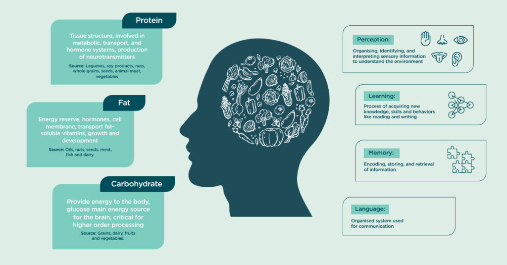 Overview of healthy foods for the brain