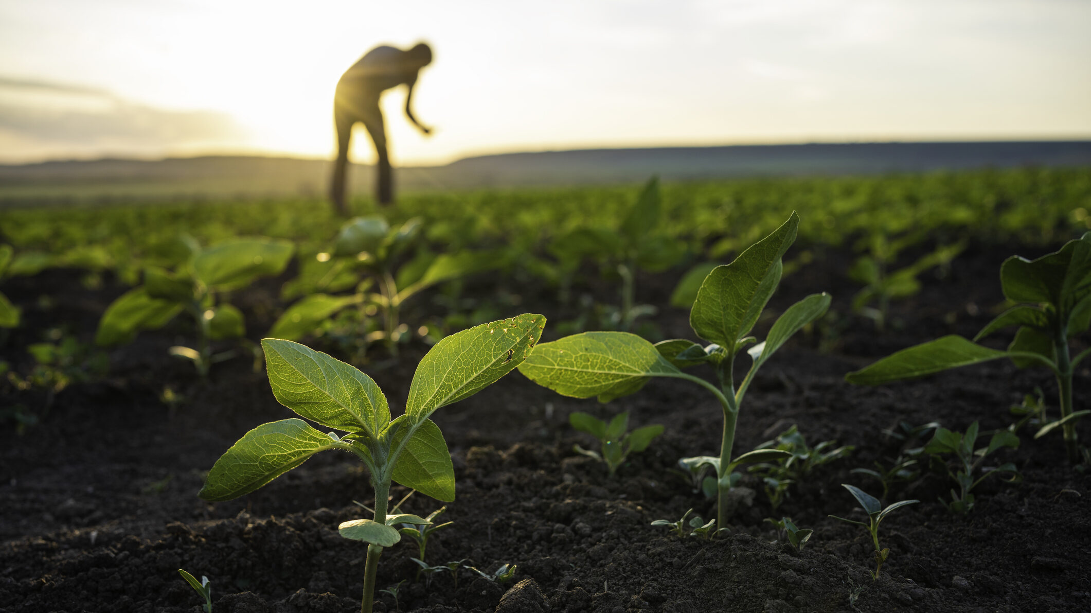 SFI Health releases second sustainability report: reinforces commitment to ESG principles