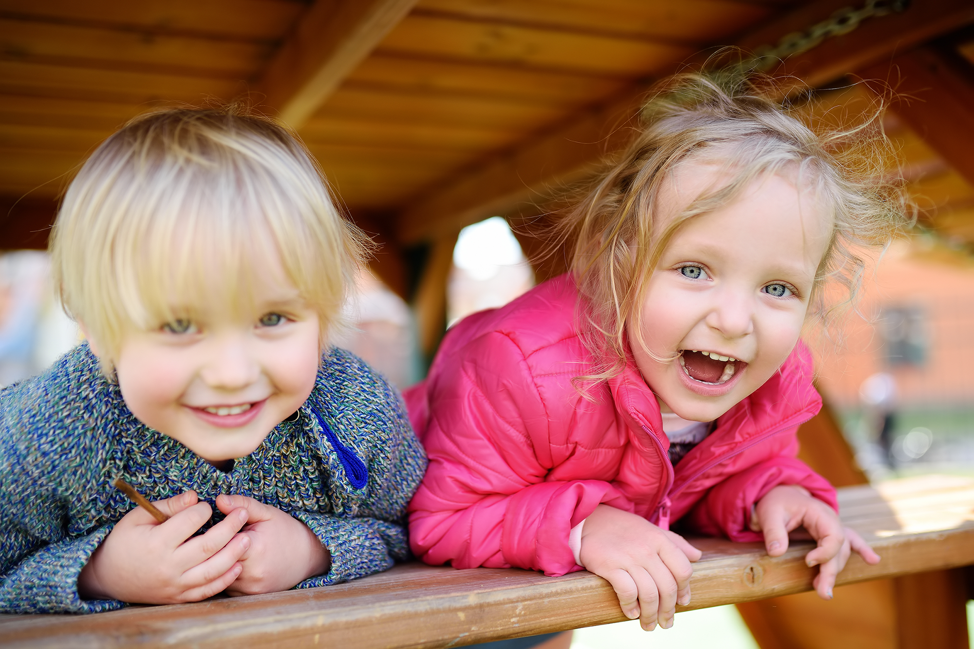 What influences healthy brain development in children?
